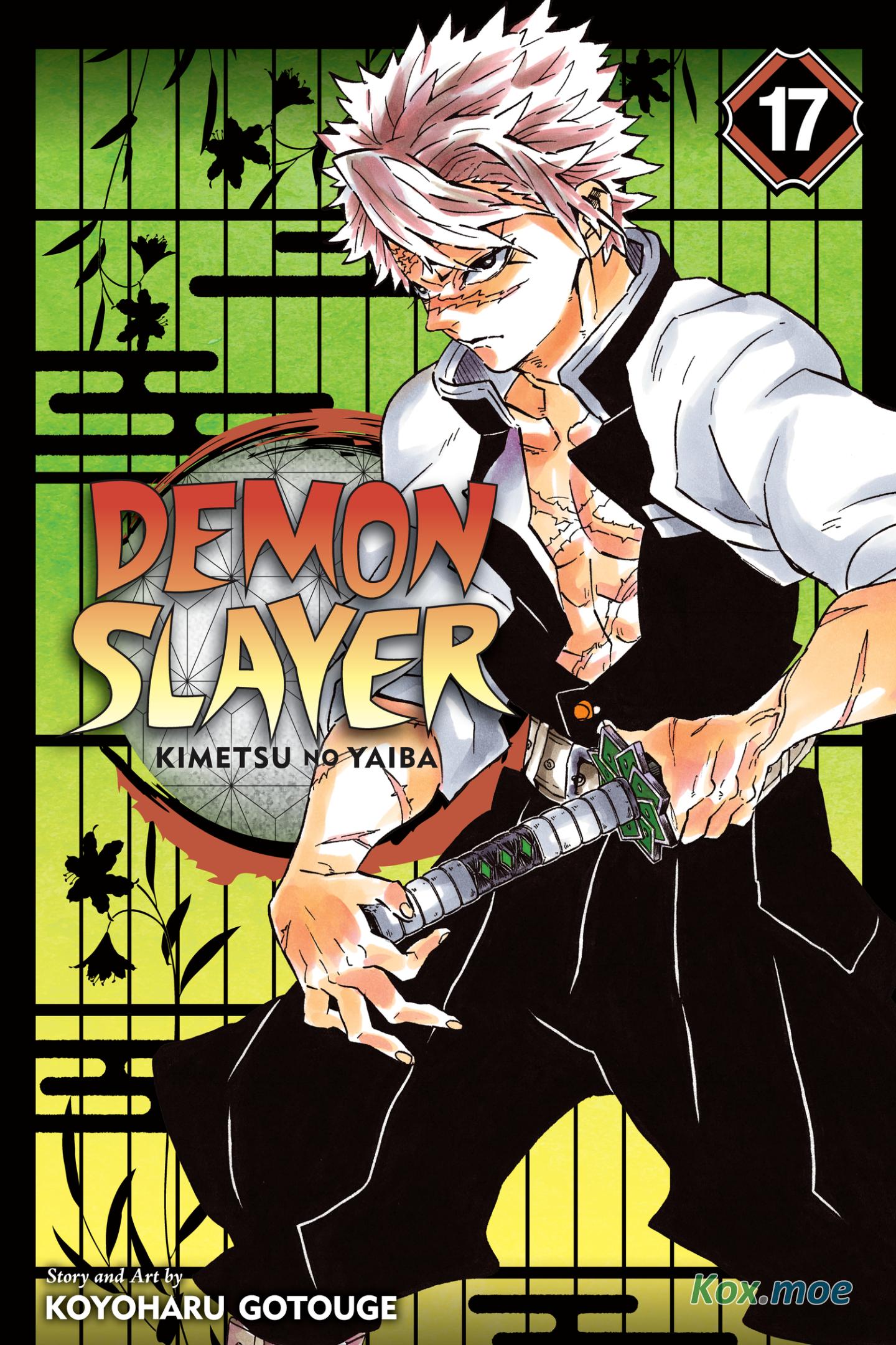 Demon Slayer - Kimetsu No Yaiba - Vol.17